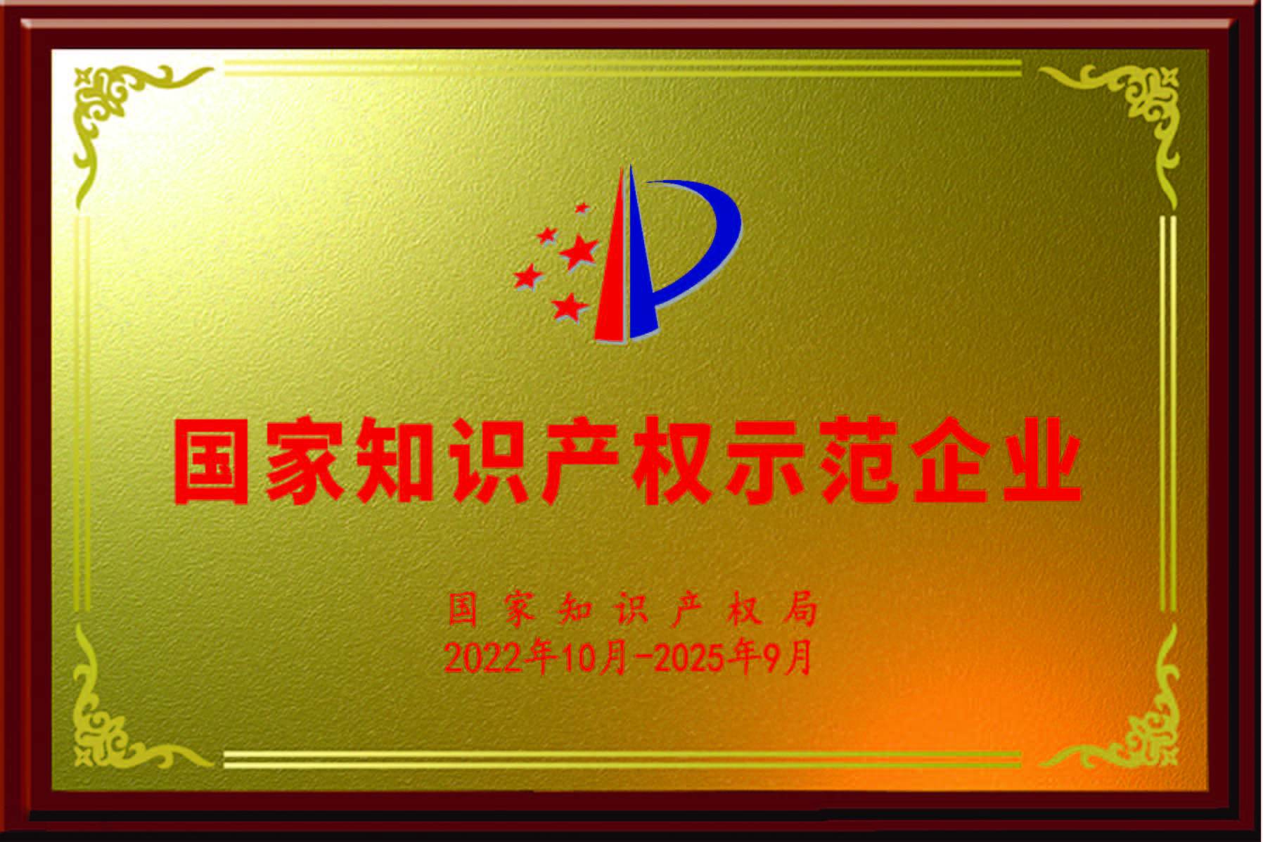 國(guó)家知識産(chǎn)權示範企業-2022-2025