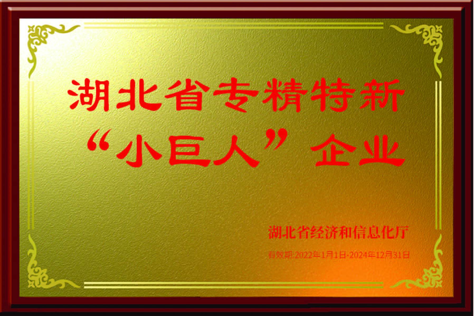 湖(hú)北省專精(jīng)特新(xīn)小(xiǎo)巨人企業